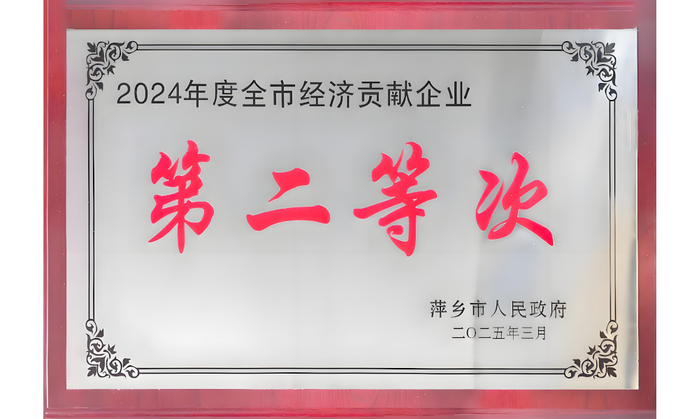 2024全市經(jīng)濟貢獻獎